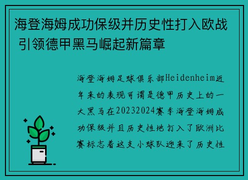 海登海姆成功保级并历史性打入欧战 引领德甲黑马崛起新篇章