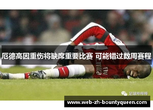 厄德高因重伤将缺席重要比赛 可能错过数周赛程 厄德高因重伤将缺席重要比赛 可能错过数周赛程